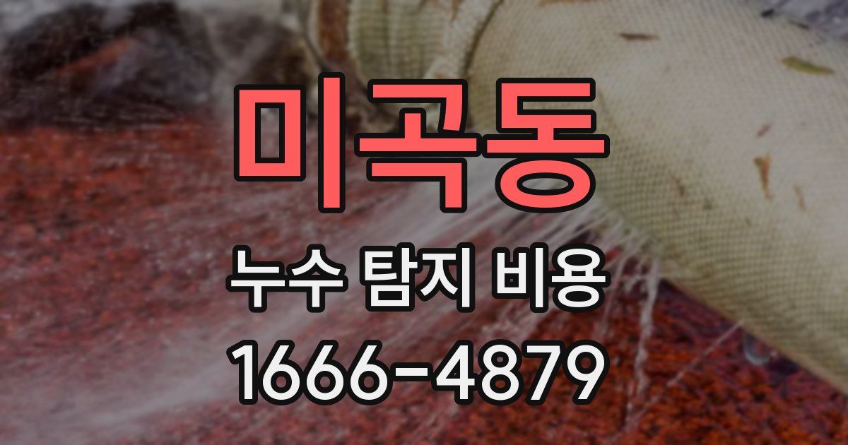 미곡동 누수 탐지 비용