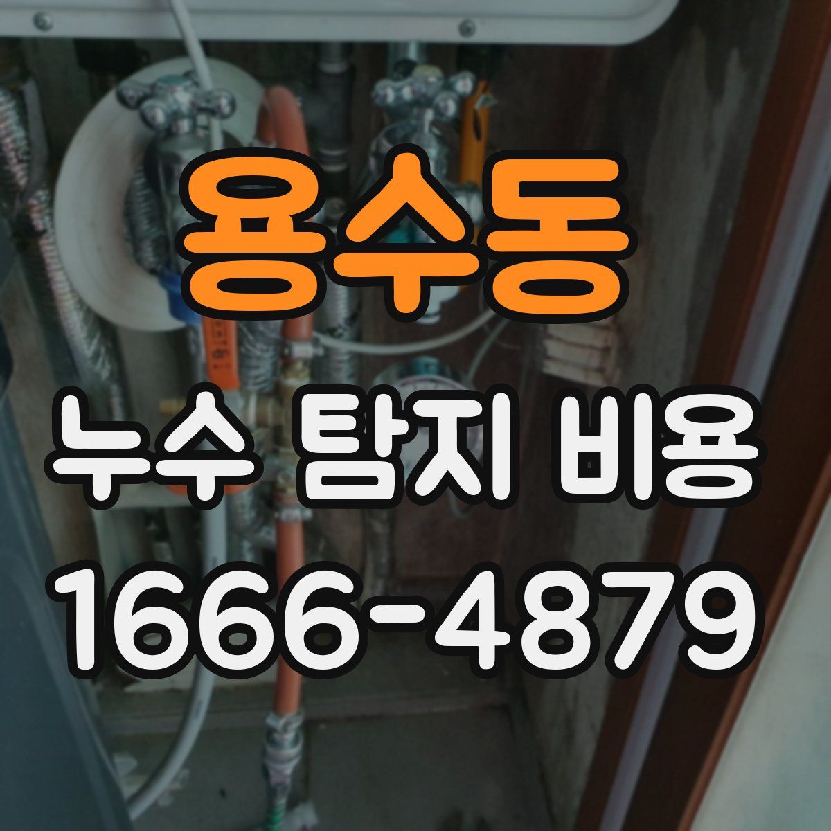 용수동 누수 탐지 비용