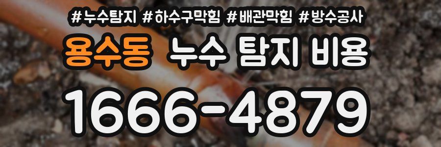 용수동 누수 탐지 비용