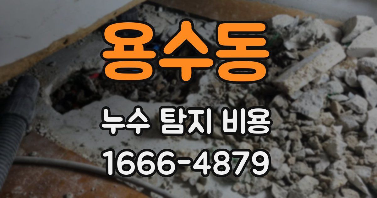 용수동 누수 탐지 비용