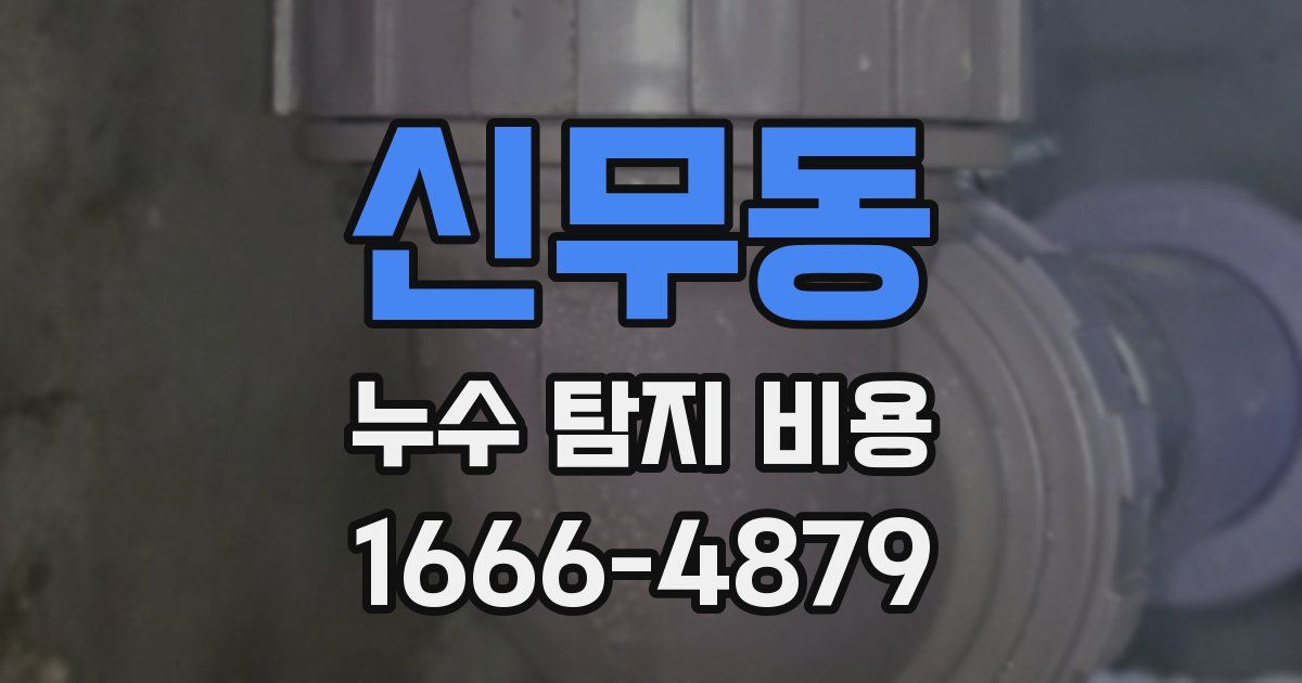 신무동 누수 탐지 비용