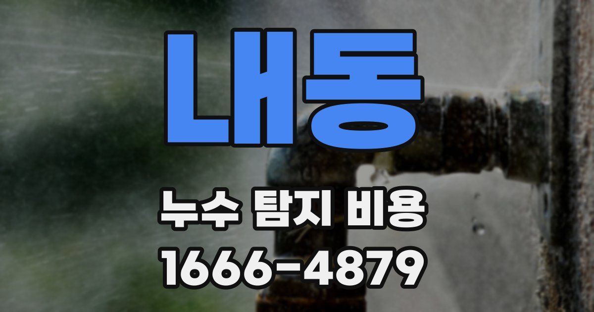 내동 누수 탐지 비용