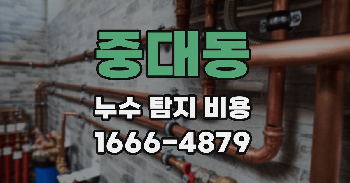 중대동 누수 탐지 비용