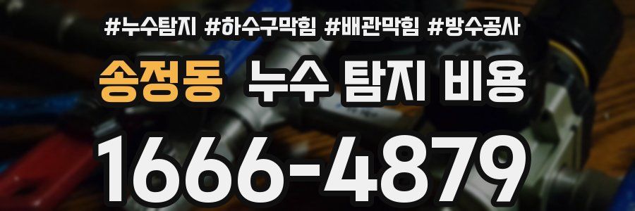 송정동 누수 탐지 비용
