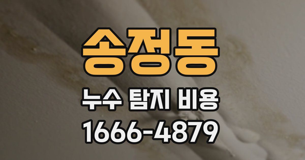 송정동 누수 탐지 비용