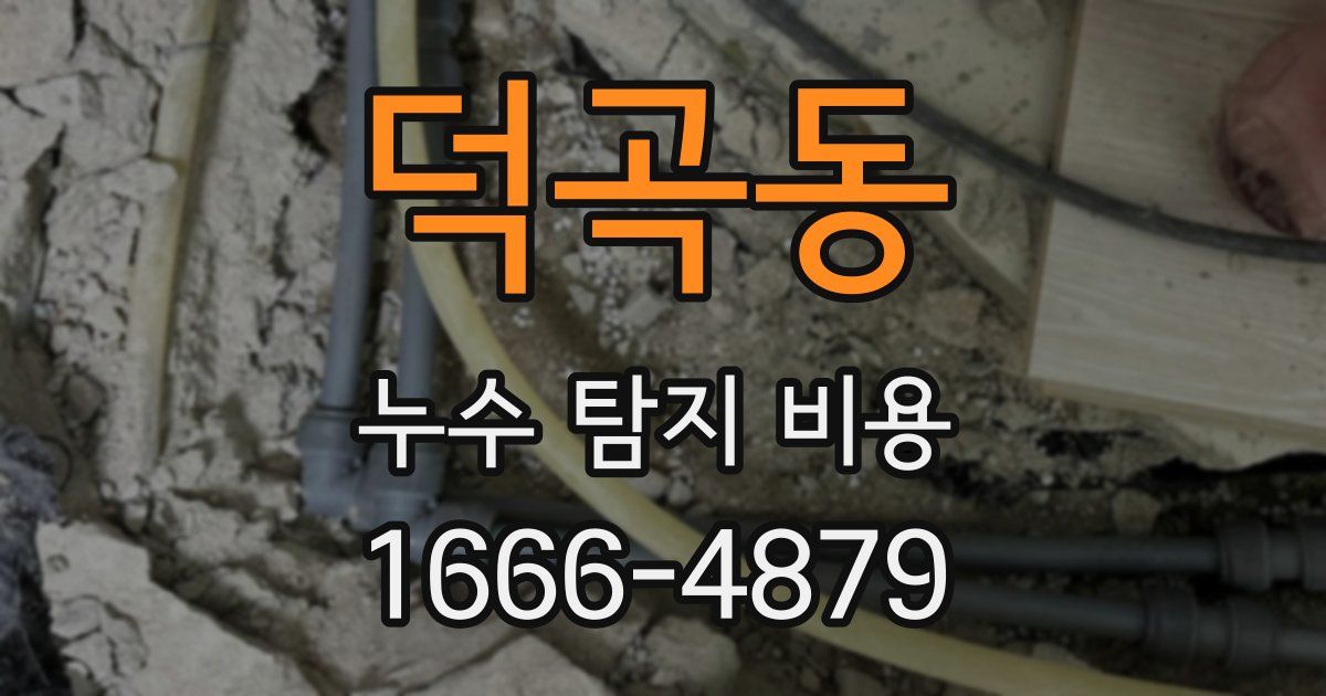 덕곡동 누수 탐지 비용