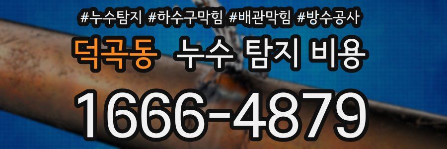 덕곡동 누수 탐지 비용