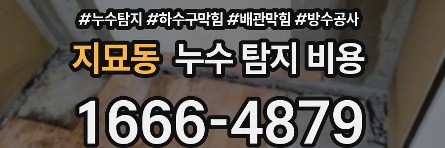 지묘동 누수 탐지 비용