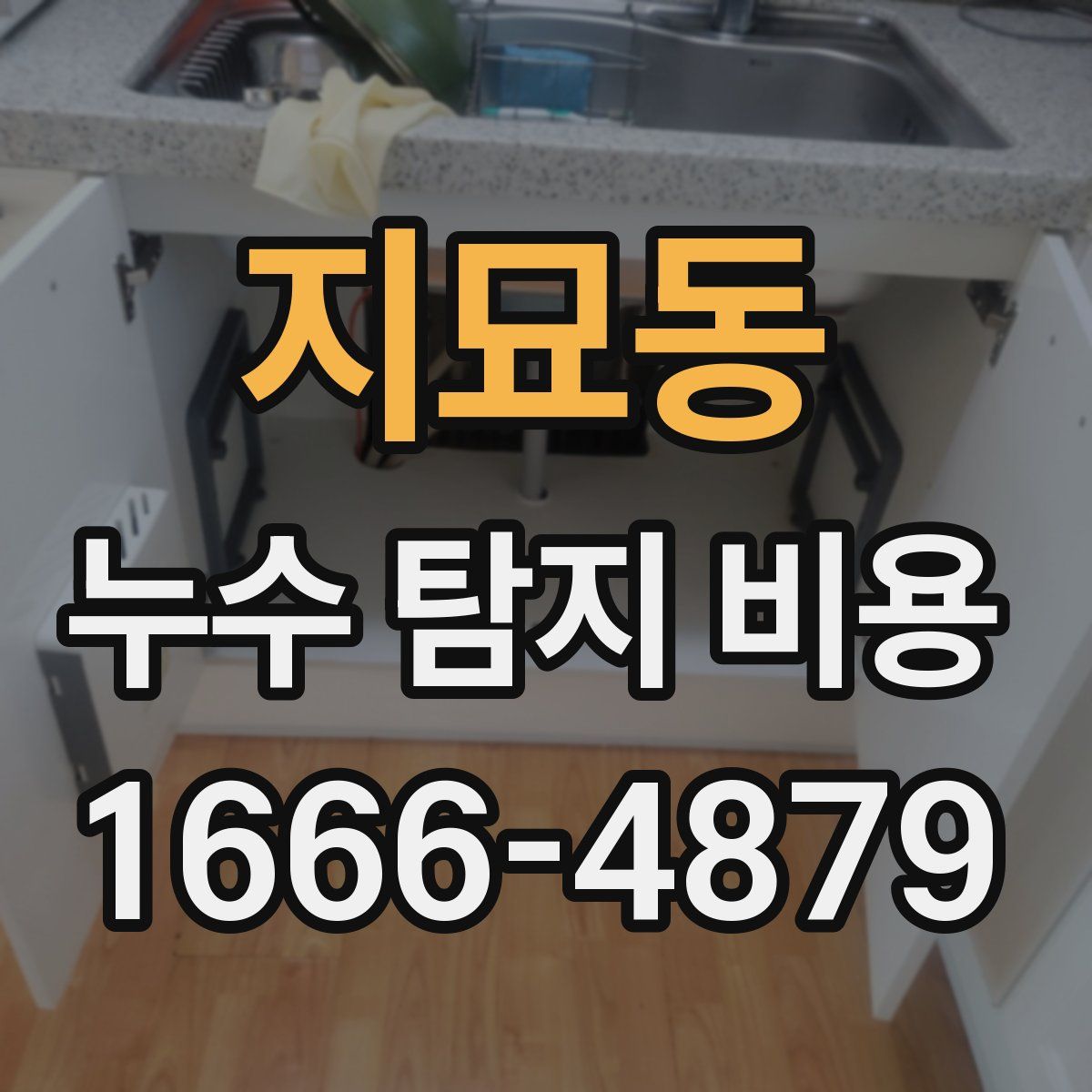 지묘동 누수 탐지 비용