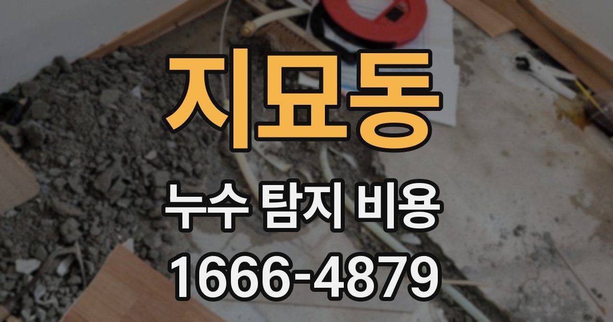 지묘동 누수 탐지 비용