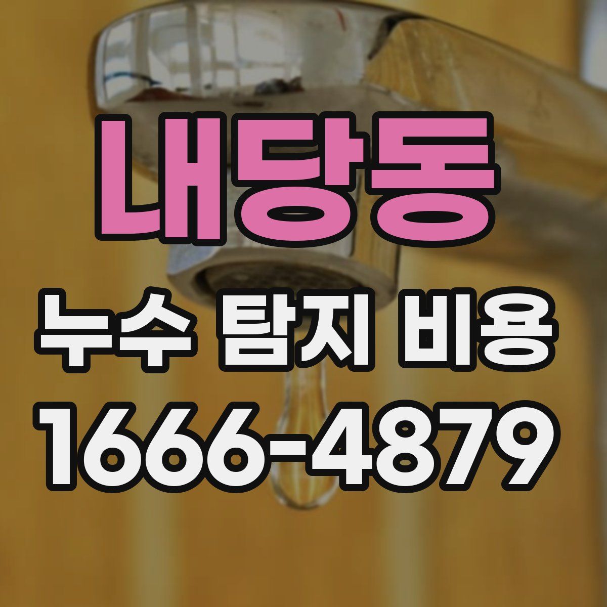 내당동 누수 탐지 비용