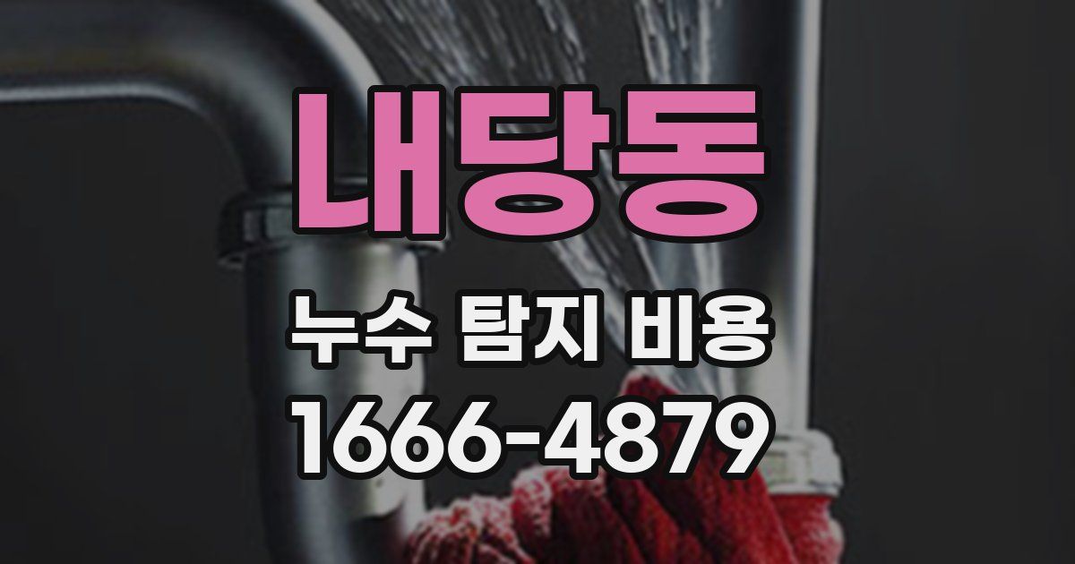 내당동 누수 탐지 비용