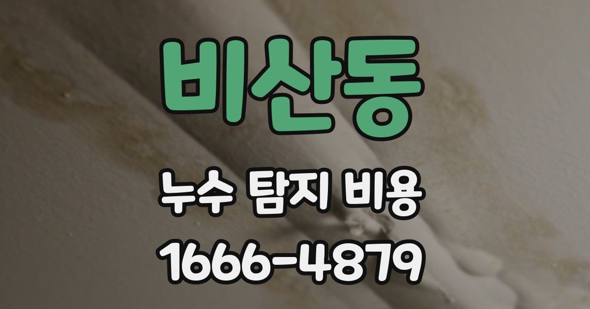비산동 누수 탐지 비용
