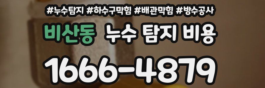 비산동 누수 탐지 비용