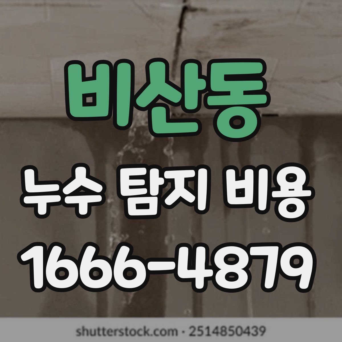 비산동 누수 탐지 비용