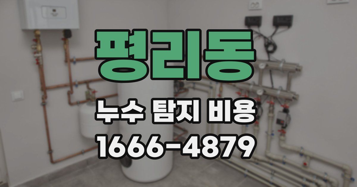 평리동 누수 탐지 비용