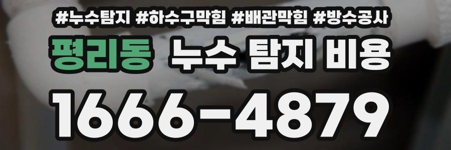 평리동 누수 탐지 비용