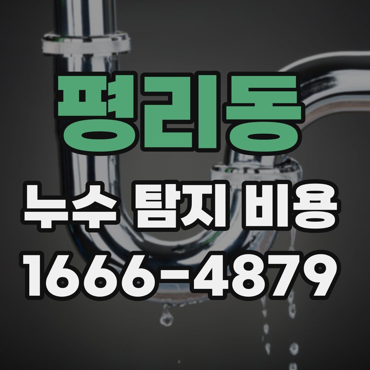 평리동 누수 탐지 비용
