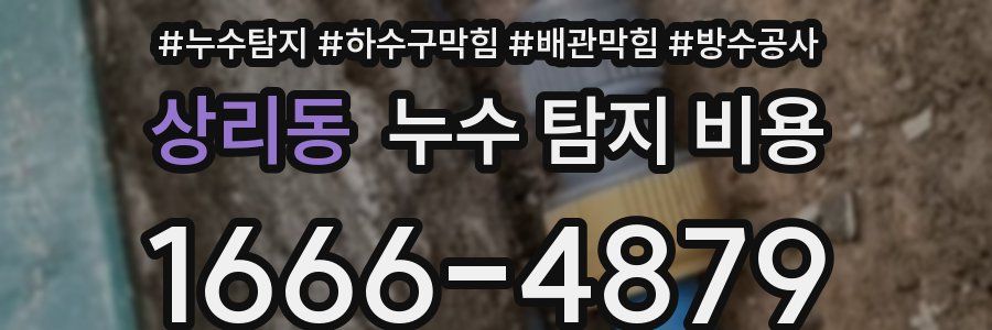 상리동 누수 탐지 비용