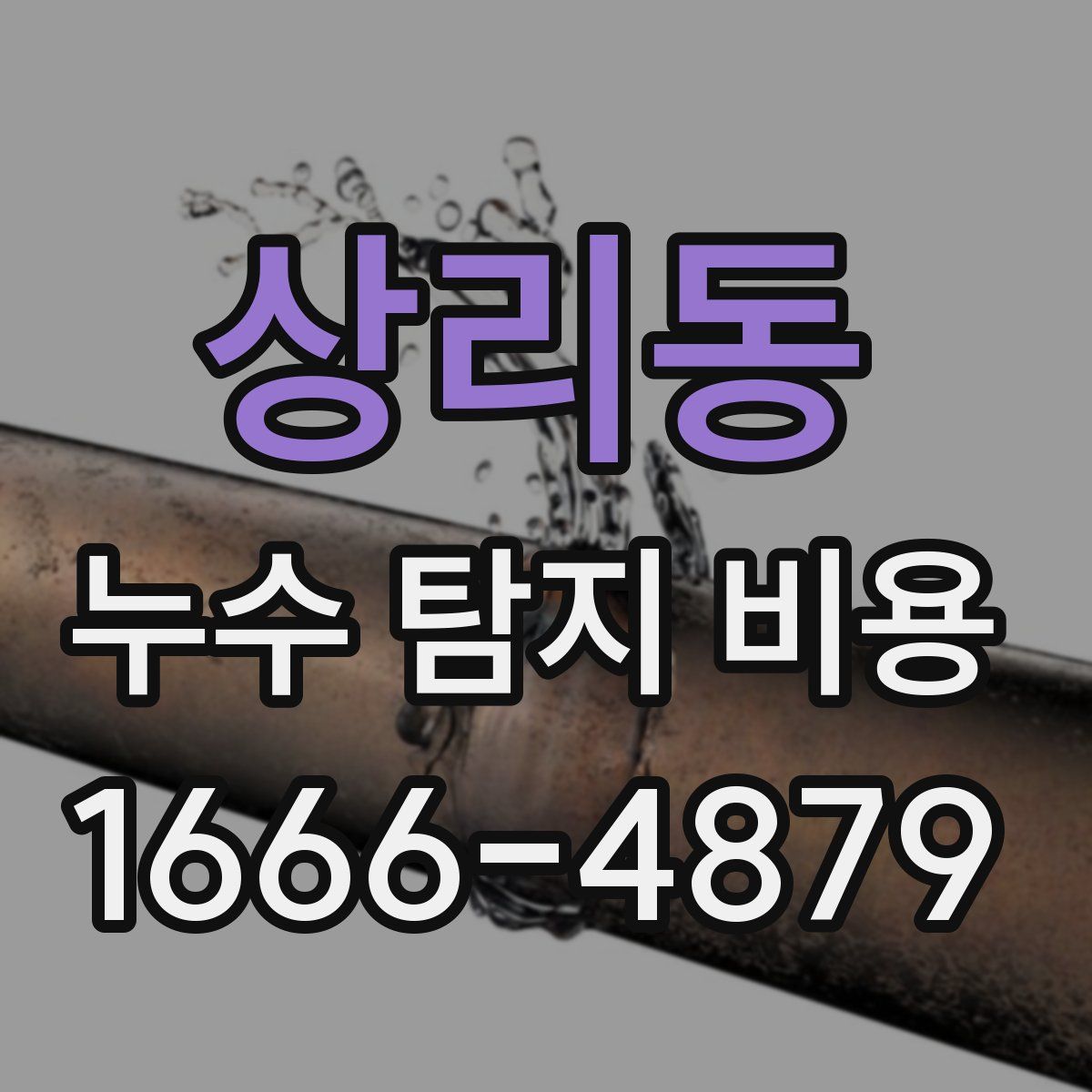 상리동 누수 탐지 비용