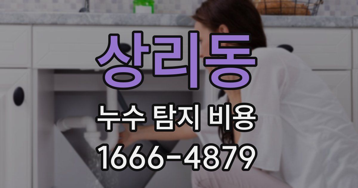 상리동 누수 탐지 비용