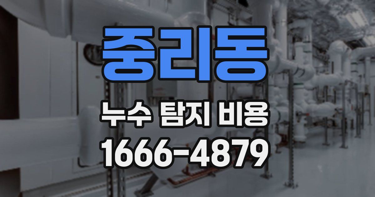 중리동 누수 탐지 비용