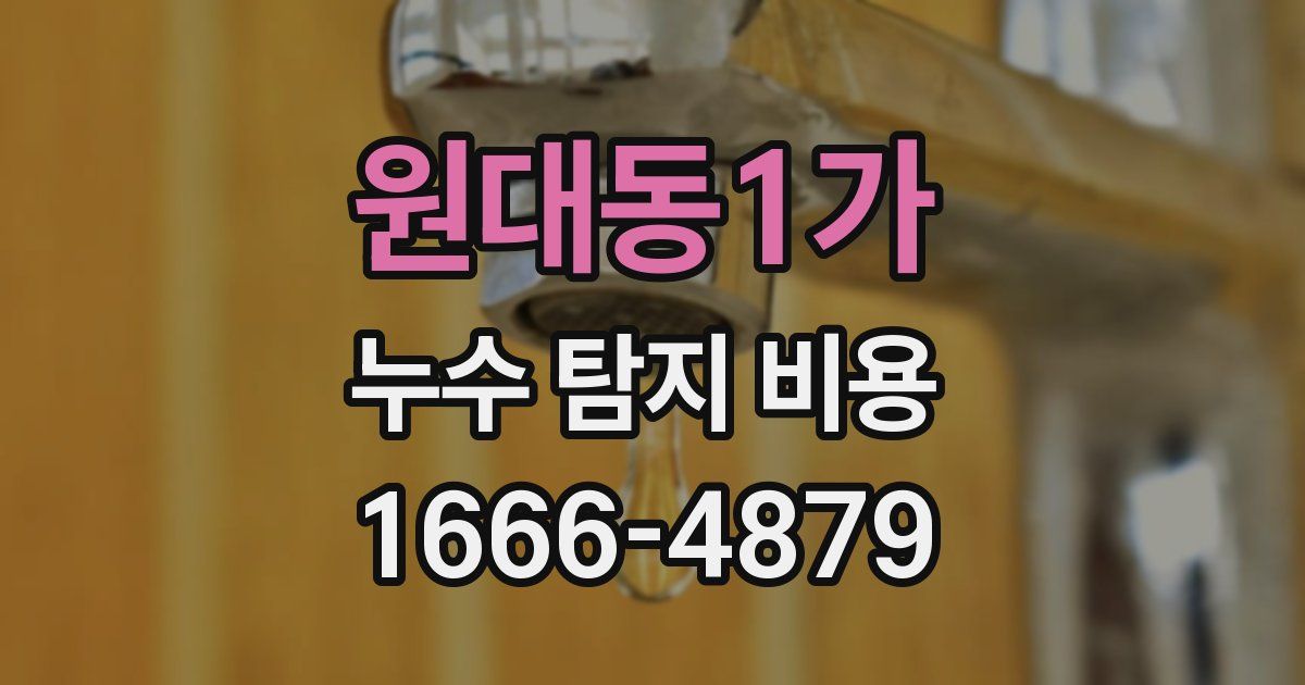 원대동1가 누수 탐지 비용