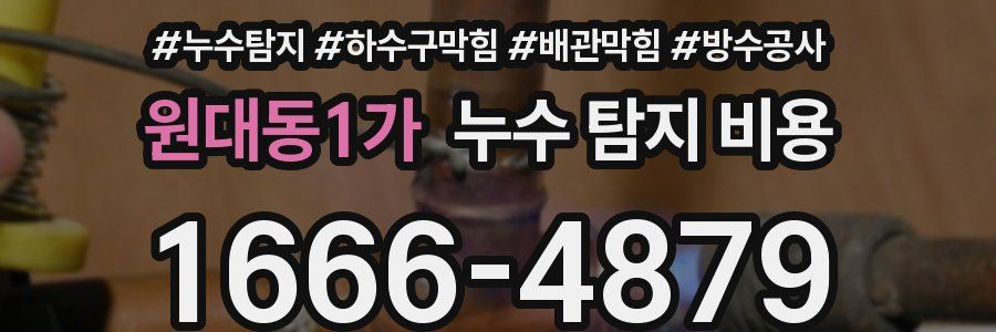 원대동1가 누수 탐지 비용