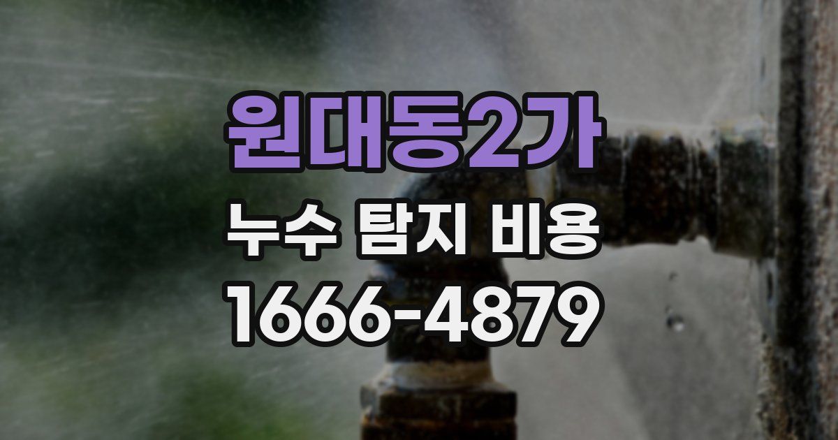 원대동2가 누수 탐지 비용