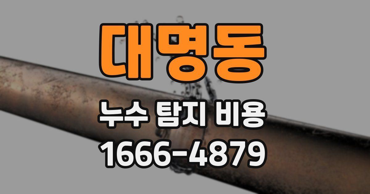 대명동 누수 탐지 비용
