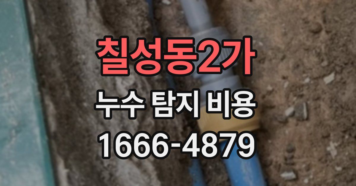 칠성동2가 누수 탐지 비용