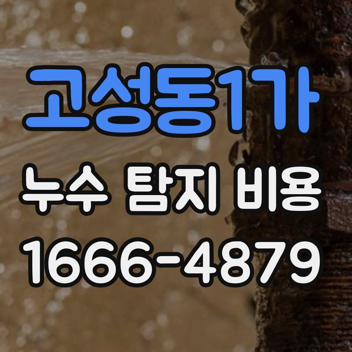 고성동1가 누수 탐지 비용