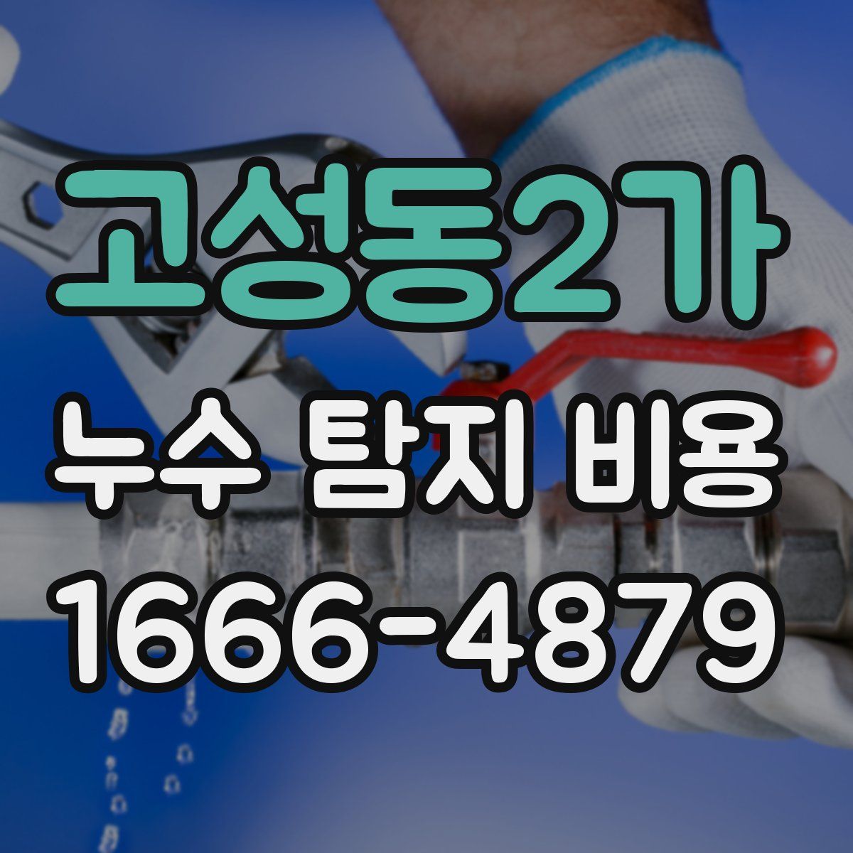 고성동2가 누수 탐지 비용