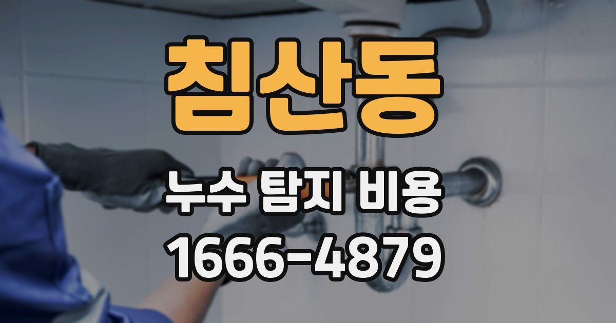 침산동 누수 탐지 비용