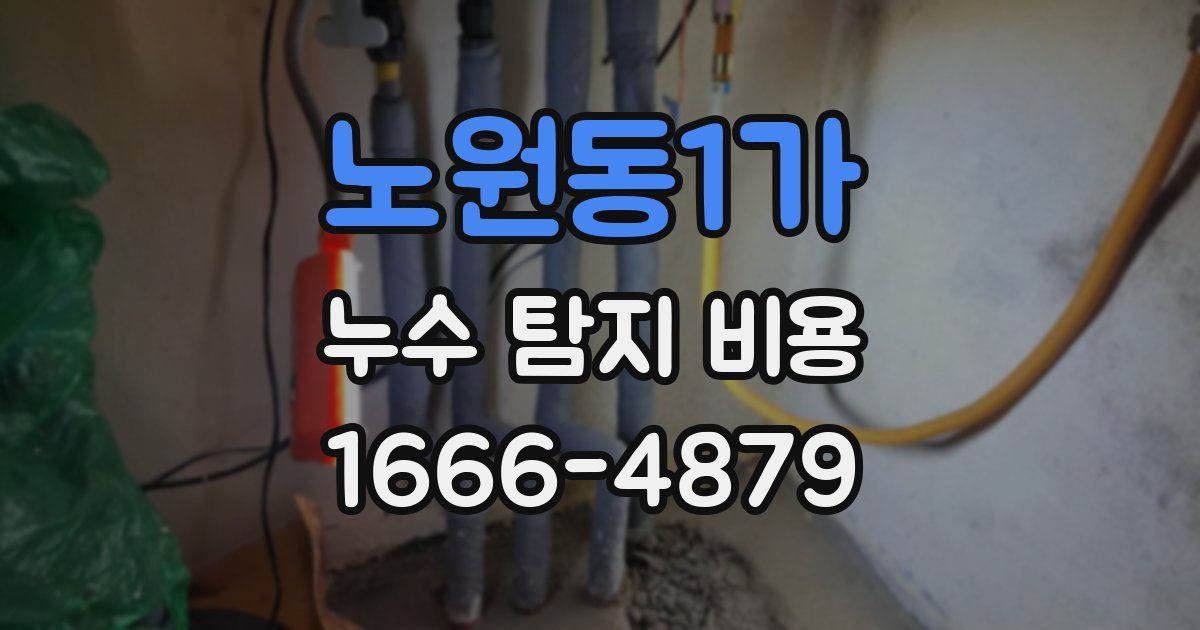 노원동1가 누수 탐지 비용