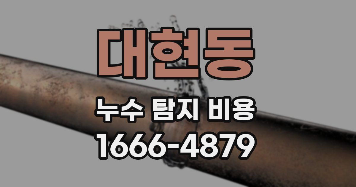 대현동 누수 탐지 비용