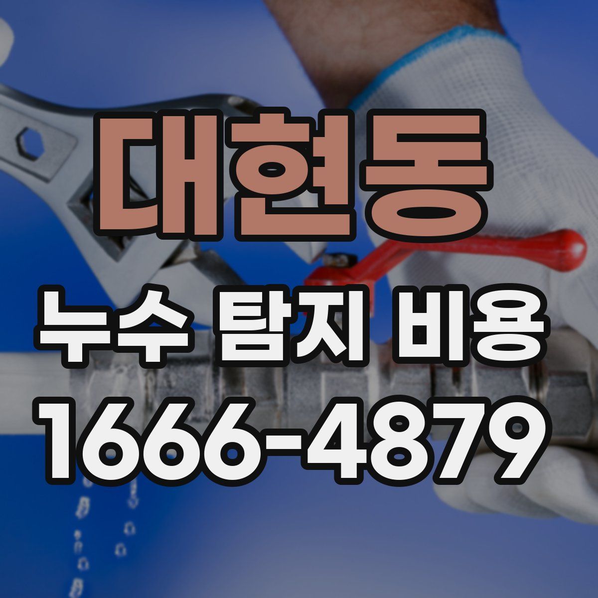 대현동 누수 탐지 비용