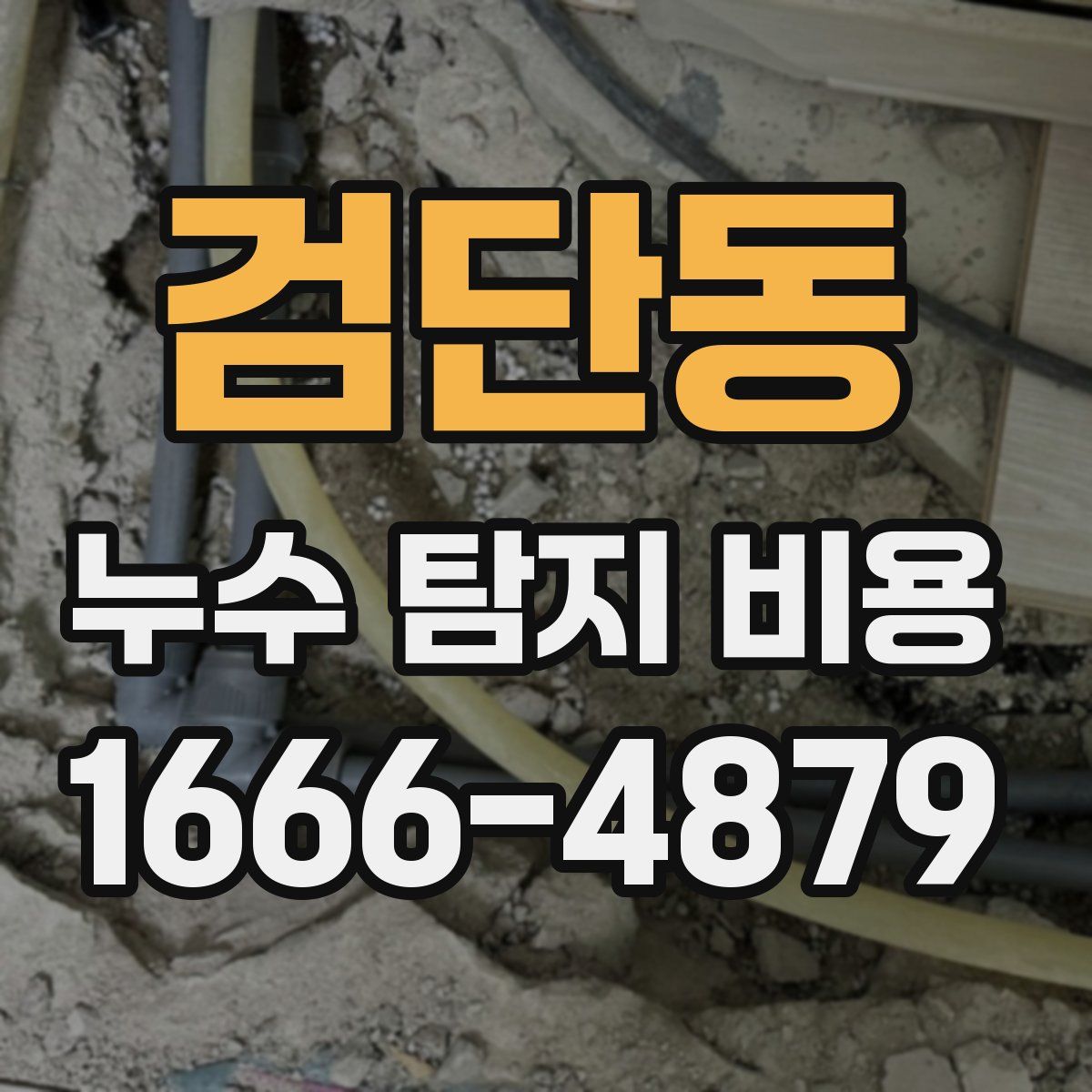 검단동 누수 탐지 비용