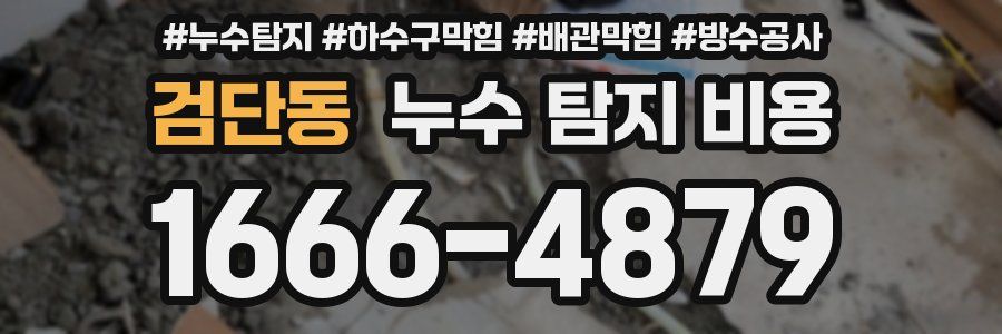 검단동 누수 탐지 비용