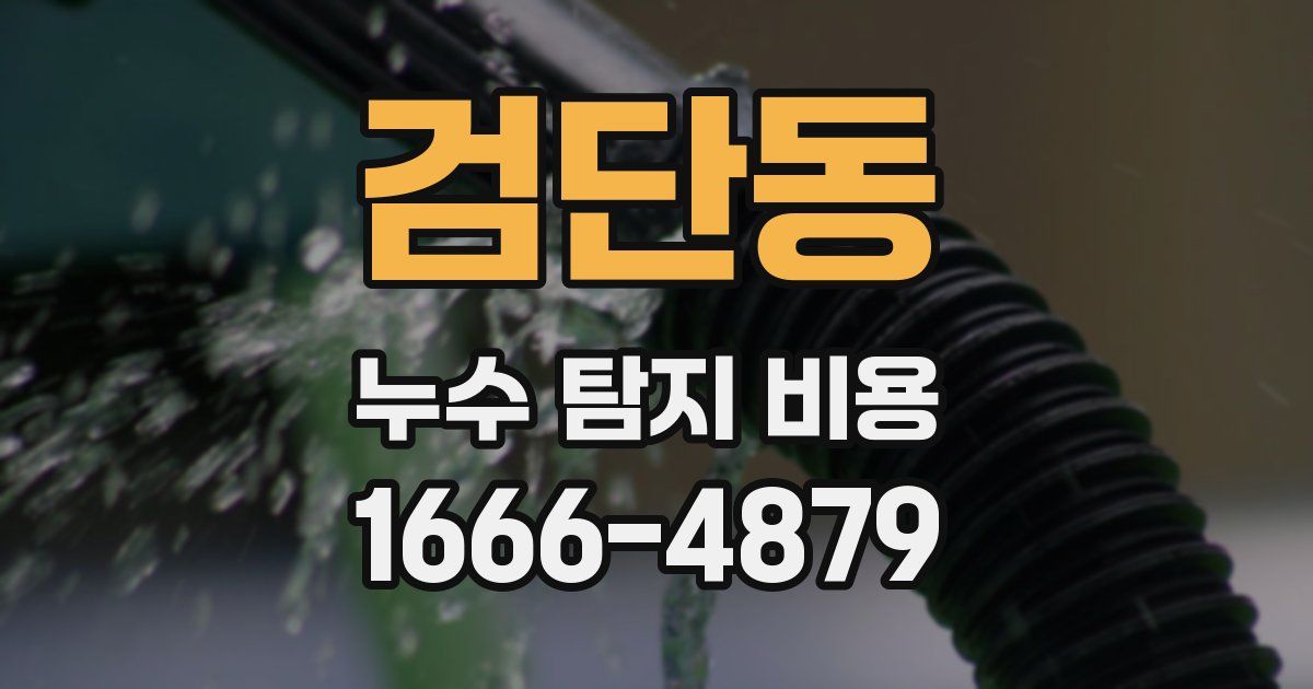 검단동 누수 탐지 비용