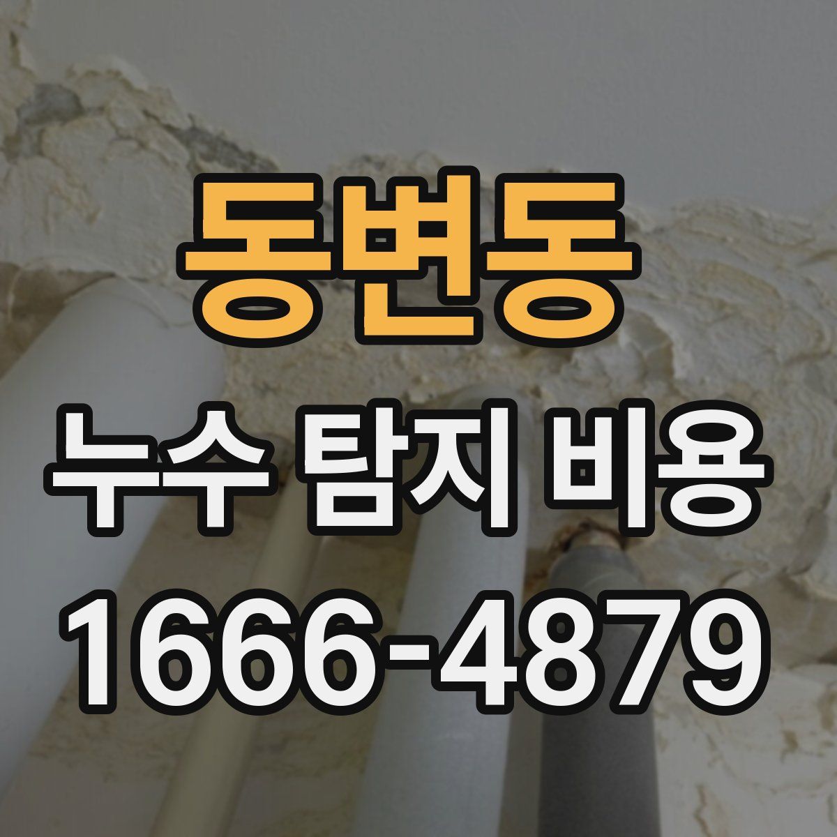 동변동 누수 탐지 비용