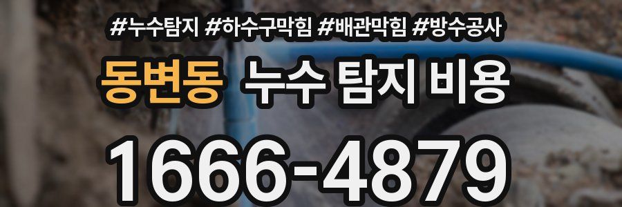 동변동 누수 탐지 비용