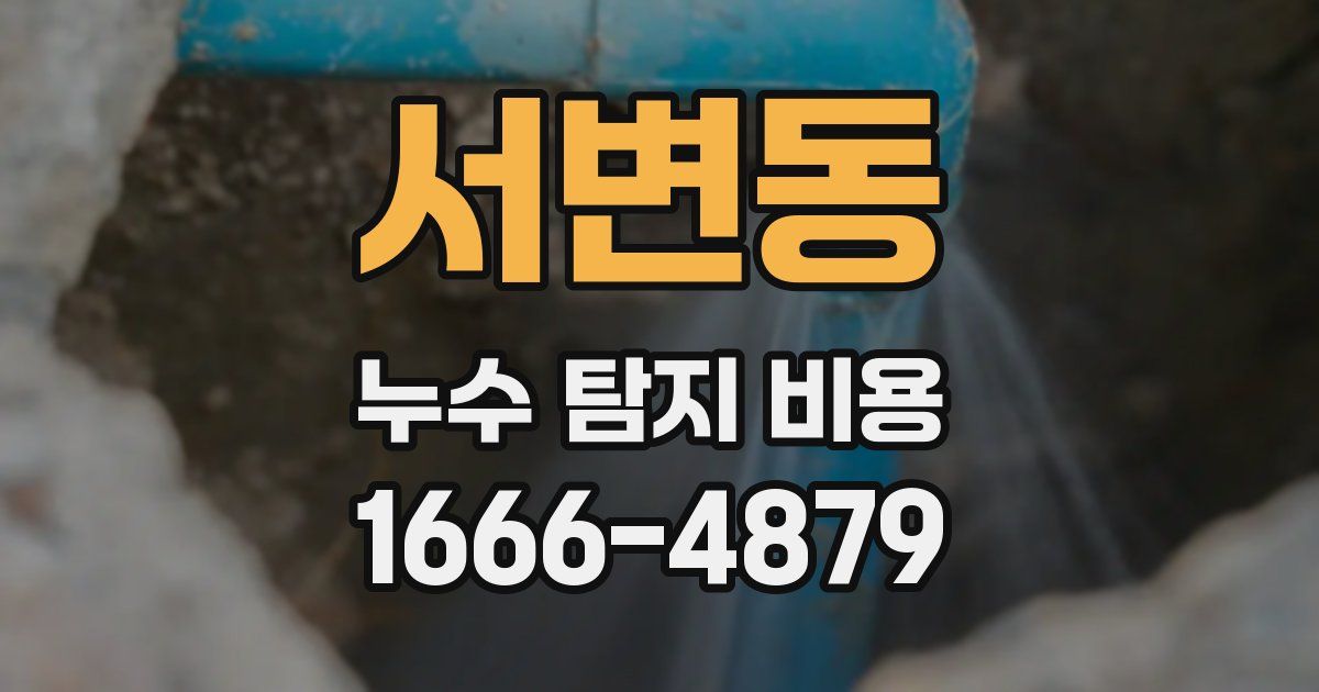 서변동 누수 탐지 비용