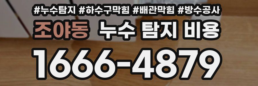 조야동 누수 탐지 비용