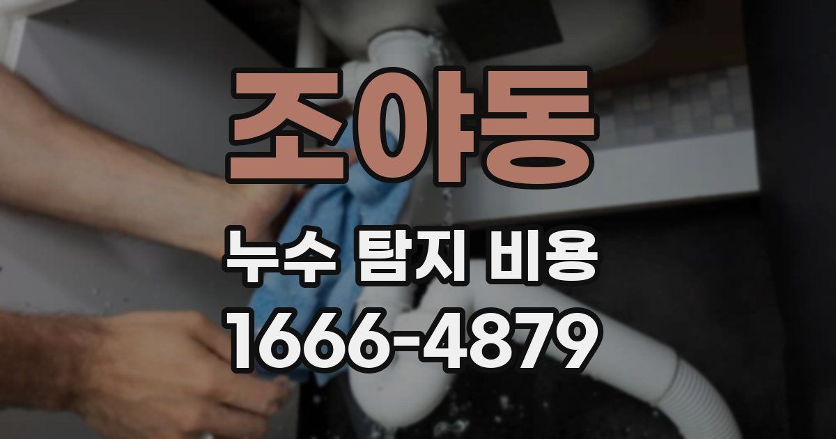 조야동 누수 탐지 비용