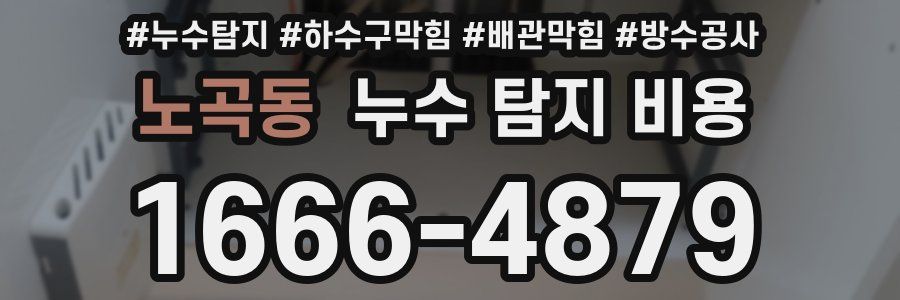 노곡동 누수 탐지 비용