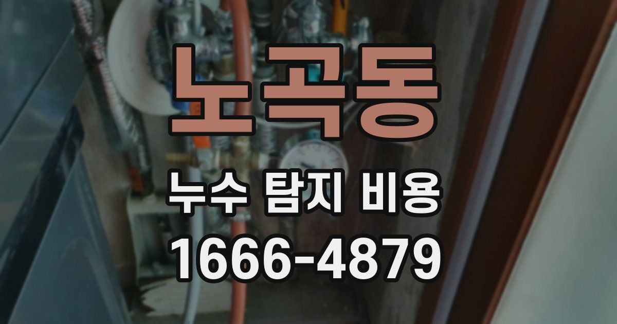 노곡동 누수 탐지 비용