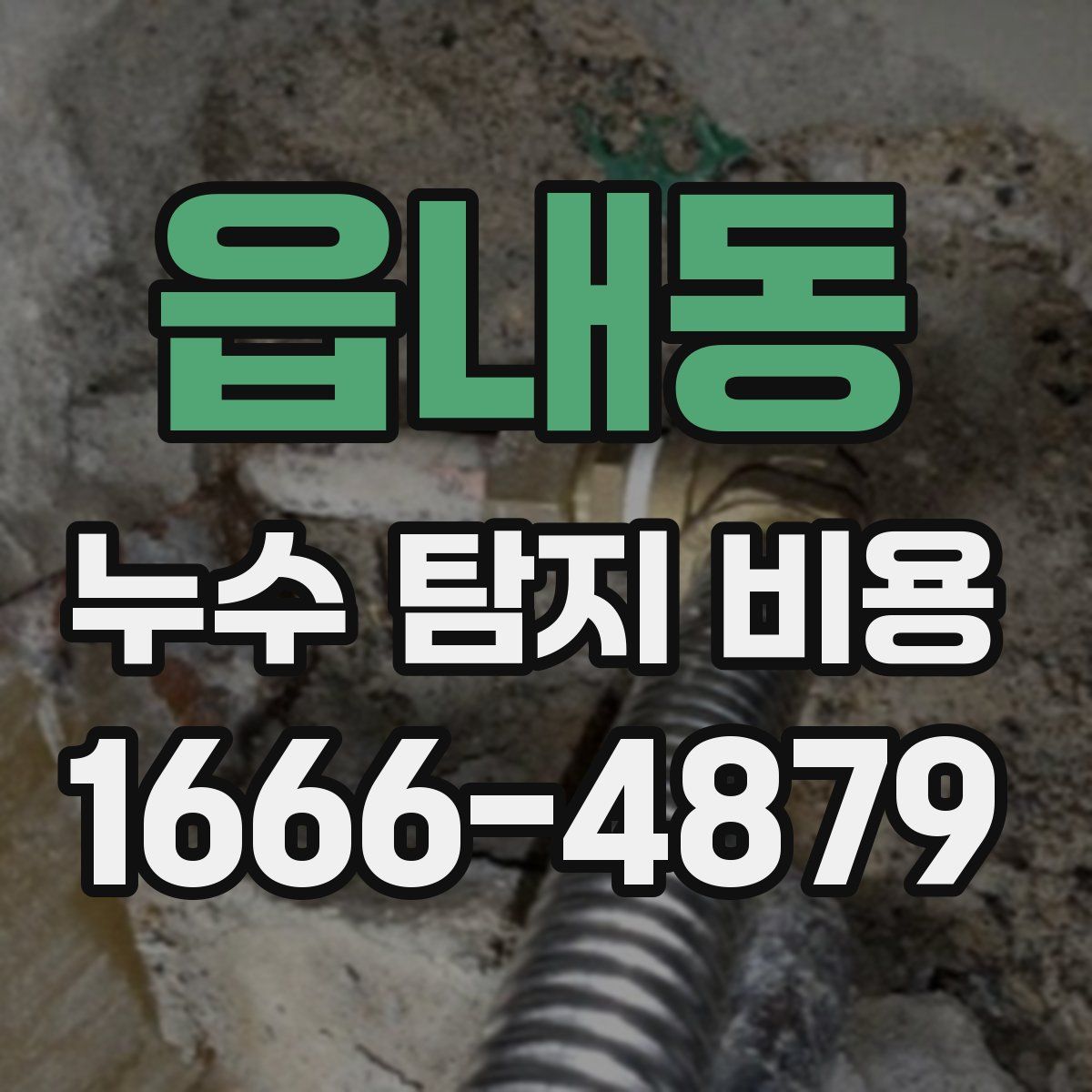 읍내동 누수 탐지 비용