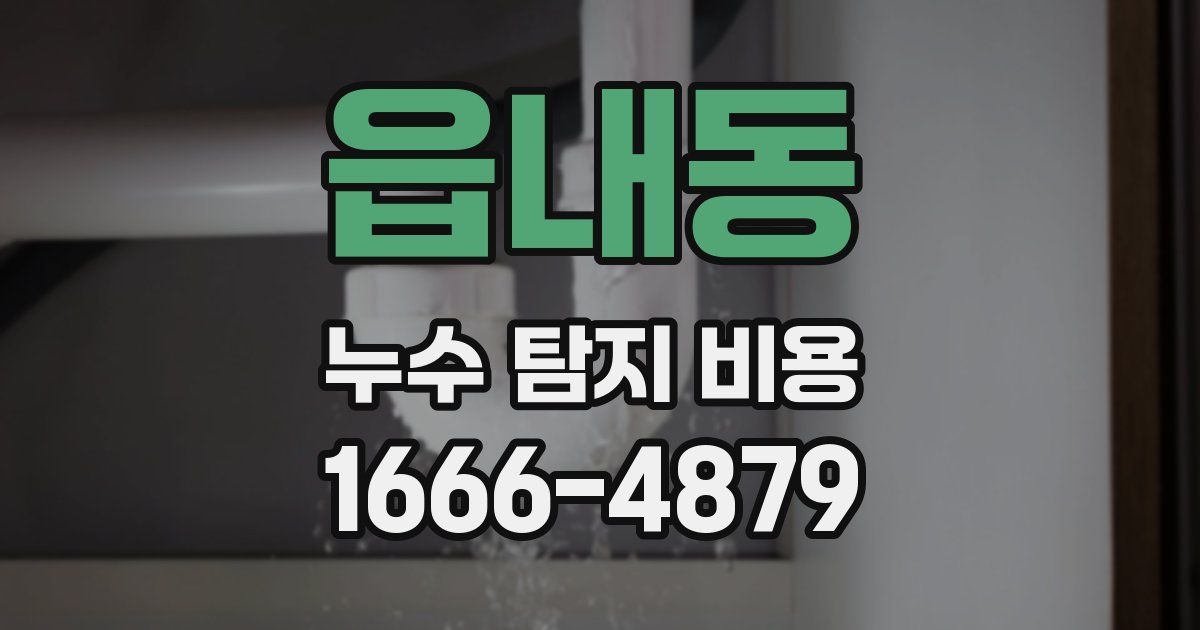 읍내동 누수 탐지 비용