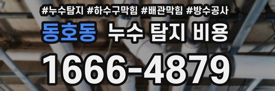 동호동 누수 탐지 비용